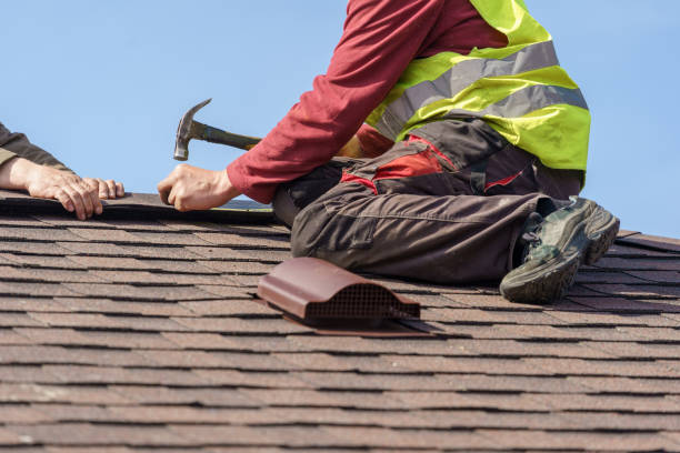 Best Roof Gutter Cleaning  in Spring Lake, MI