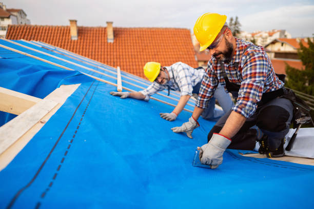 Sealant for Roof in Spring Lake, MI